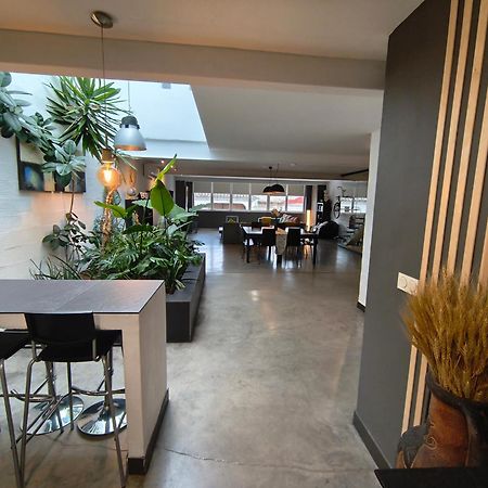 Апартаменты Loft Carrasketa Alfafara Экстерьер фото