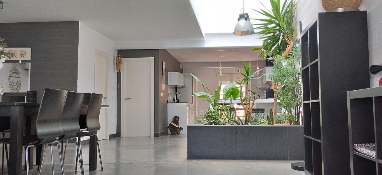 Апартаменты Loft Carrasketa Alfafara Экстерьер фото