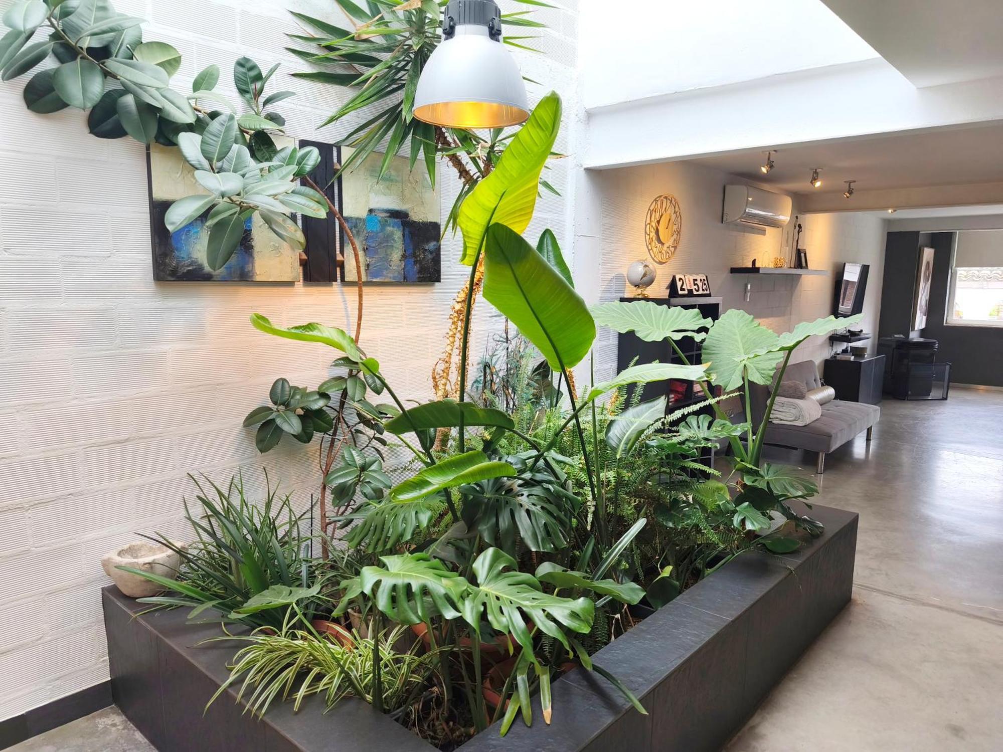 Апартаменты Loft Carrasketa Alfafara Экстерьер фото
